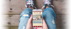 | Honor Credit Union