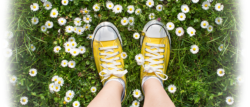 | Honor Credit Union