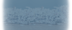| Honor Credit Union
