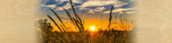 | Honor Credit Union