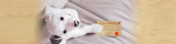 | Honor Credit Union