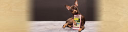 | Honor Credit Union