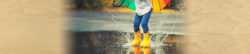 | Honor Credit Union