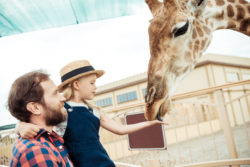 family feeding giraffe in zoo | Honor Credit Union