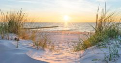 the view behind a sand hill and dune grass of the sun setting on the horizon of the lake water | Honor Credit Union