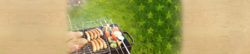 happy labor day from honor credit union | Honor Credit Union
