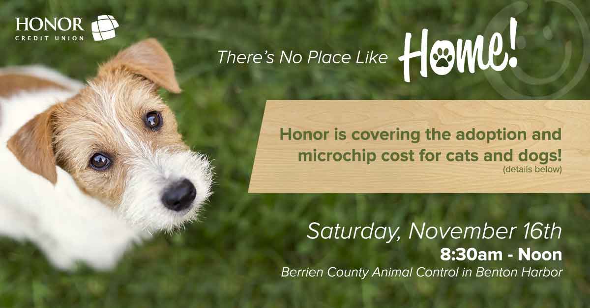 honor credit union is partnering with berrien county animal control for adoption day on november 16, 2019; photo of dog looking up at the camera