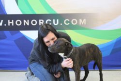 honor adoption day a big success at berrien county animal control on november 16th; woman posing for photo with newly adopted dog