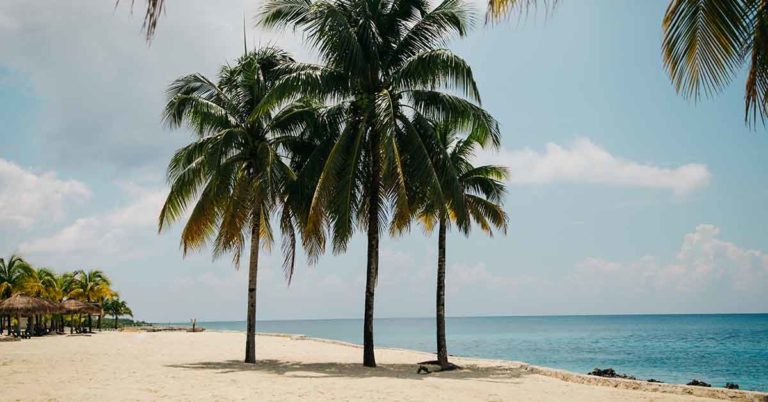 earn double reward points with the honor credit union select rewards credit card through the end of 2019; photo of a sandy beach and palm trees