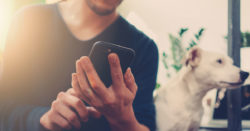 check your account on the go, send money, and make payments with honor credit union mobile banking; man looking at phone with dog sitting next to him | Honor Credit Union