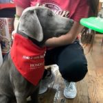 We take care of our furry friends