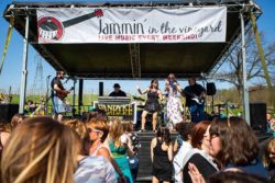 group of people dancing during a round barn jammin' in the vineyard event | Honor Credit Union
