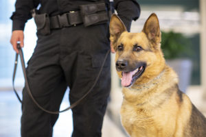 image of a k9 patrol dog on a leash with its handler | Honor Credit Union