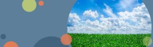 green grass and a cloudy sky | Honor Credit Union