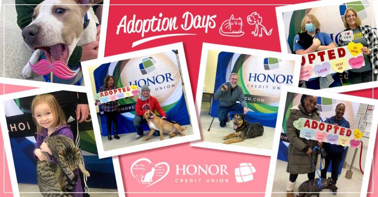 photo collage of cats and dogs being adopted at berrien county animal control adoption days 2022