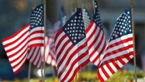 collection of small american flags stuck in the ground | Honor Credit Union