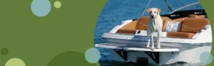 image featuring a dog on a boat to promote honor credit union's boat, snowmobile, rv loan calculator | Honor Credit Union