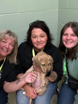 Kalamazoo - SPCA